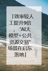 效率较人工提升9倍，“AI大模型+公共资源交易”场景在启东落地