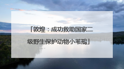 敦煌：成功救助国家二级野生保护动物小苇鳽