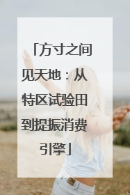 方寸之间见天地：从特区试验田到提振消费引擎