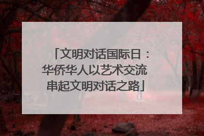 文明对话国际日：华侨华人以艺术交流串起文明对话之路
