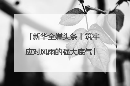 新华全媒头条丨筑牢应对风雨的强大底气