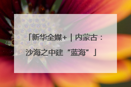 新华全媒+｜内蒙古：沙海之中建“蓝海”