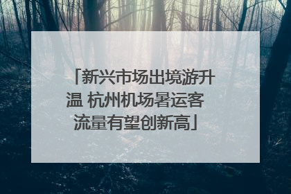 新兴市场出境游升温 杭州机场暑运客流量有望创新高