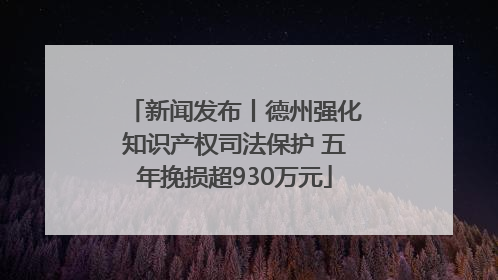 新闻发布丨德州强化知识产权司法保护 五年挽损超930万元