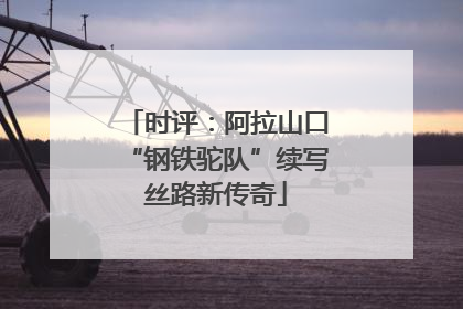 时评：阿拉山口“钢铁驼队”续写丝路新传奇