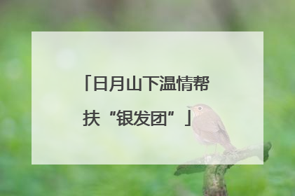 日月山下温情帮扶“银发团”