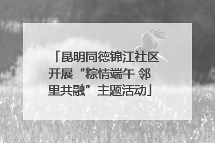 昆明同德锦江社区开展“粽情端午 邻里共融”主题活动