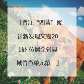 晋江“四普”累计新发现文物201处 位居全省县域普查单元第一