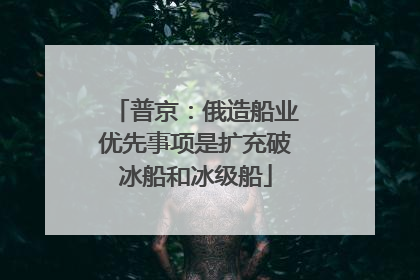 普京：俄造船业优先事项是扩充破冰船和冰级船