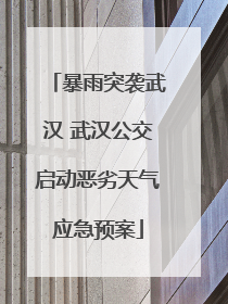 暴雨突袭武汉 武汉公交启动恶劣天气应急预案