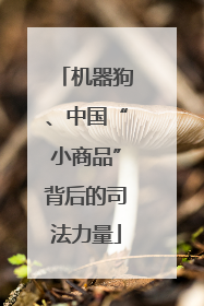 机器狗、中国“小商品”背后的司法力量