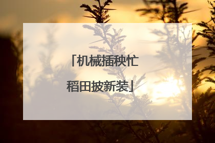 机械插秧忙 稻田披新装