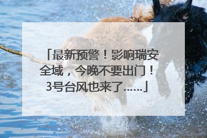 最新预警！影响瑞安全域，今晚不要出门！3号台风也来了……