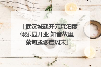 武汉城建开元森泊度假乐园开业 知音故里蔡甸邀您度周末