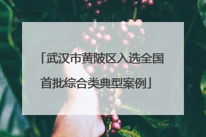 武汉市黄陂区入选全国首批综合类典型案例