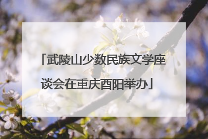 武陵山少数民族文学座谈会在重庆酉阳举办