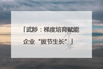 武陟：梯度培育赋能企业“拔节生长”