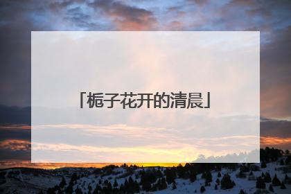 栀子花开的清晨