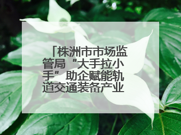 株洲市市场监管局“大手拉小手”助企赋能轨道交通装备产业链质量升级