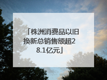 株洲消费品以旧换新总销售额超28.1亿元