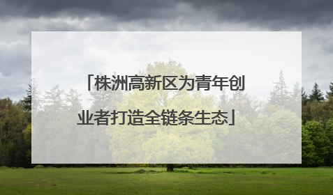 株洲高新区为青年创业者打造全链条生态