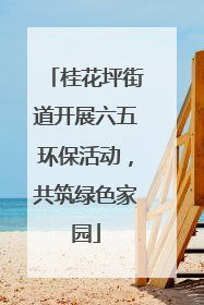 桂花坪街道开展六五环保活动，共筑绿色家园