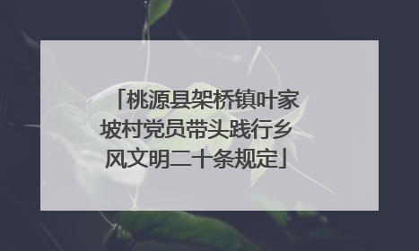 桃源县架桥镇叶家坡村党员带头践行乡风文明二十条规定