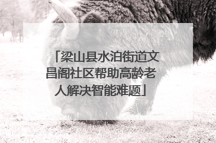 梁山县水泊街道文昌阁社区帮助高龄老人解决智能难题