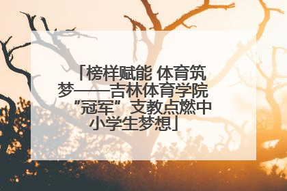 榜样赋能 体育筑梦——吉林体育学院“冠军”支教点燃中小学生梦想