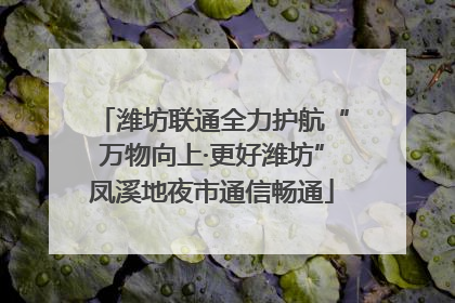潍坊联通全力护航“万物向上·更好潍坊”凤溪地夜市通信畅通