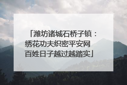 潍坊诸城石桥子镇：绣花功夫织密平安网 百姓日子越过越踏实
