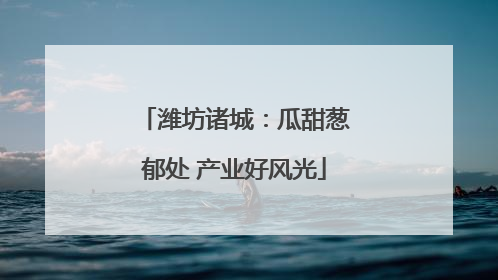 潍坊诸城：瓜甜葱郁处 产业好风光