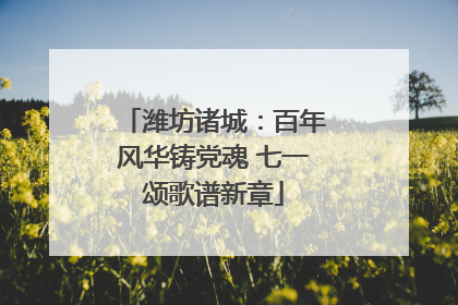 潍坊诸城：百年风华铸党魂 七一颂歌谱新章