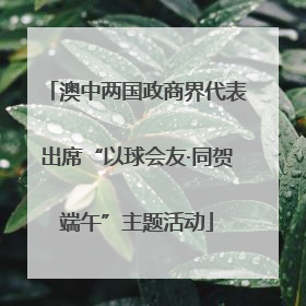 澳中两国政商界代表出席“以球会友·同贺端午”主题活动
