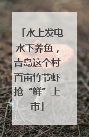 水上发电水下养鱼，青岛这个村百亩竹节虾抢“鲜”上市