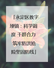 永定区教字垭镇：科学调度 干群合力 筑牢防洪抢险坚固防线