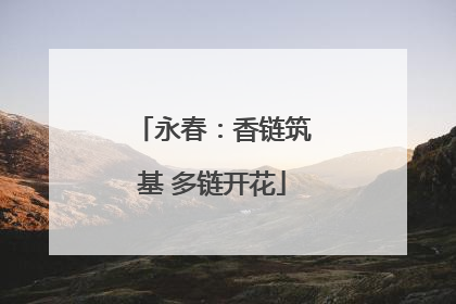 永春：香链筑基 多链开花