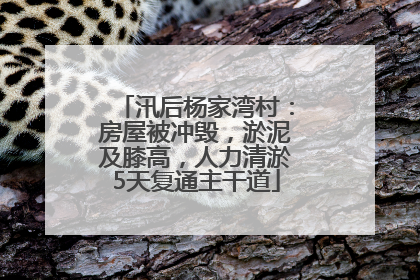 汛后杨家湾村：房屋被冲毁，淤泥及膝高，人力清淤5天复通主干道