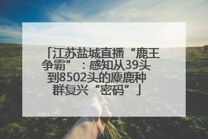 江苏盐城直播“鹿王争霸”：感知从39头到8502头的麋鹿种群复兴“密码”