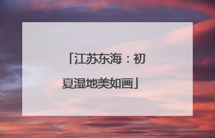 江苏东海：初夏湿地美如画