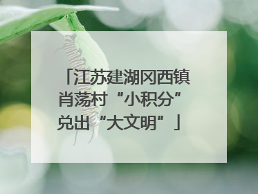 江苏建湖冈西镇肖荡村“小积分”兑出“大文明”