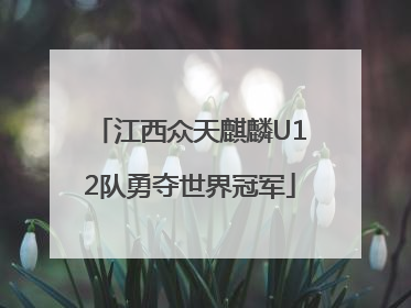 江西众天麒麟U12队勇夺世界冠军