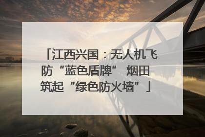 江西兴国：无人机飞防“蓝色盾牌” 烟田筑起“绿色防火墙”