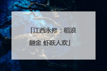 江西永修：稻浪翻金 虾跃人欢
