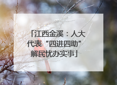 江西金溪：人大代表“四进四助”解民忧办实事