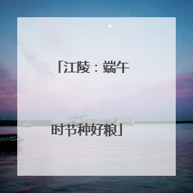 江陵：端午时节种好粮