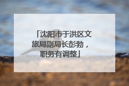 沈阳市于洪区文旅局副局长彭勃，职务有调整