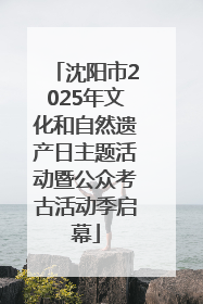 沈阳市2025年文化和自然遗产日主题活动暨公众考古活动季启幕