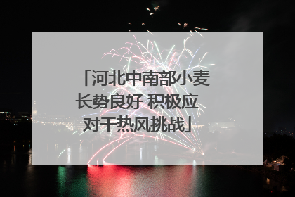 河北中南部小麦长势良好 积极应对干热风挑战