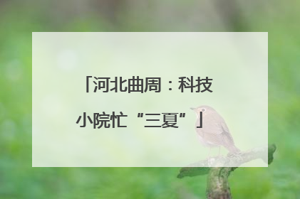 河北曲周：科技小院忙“三夏”